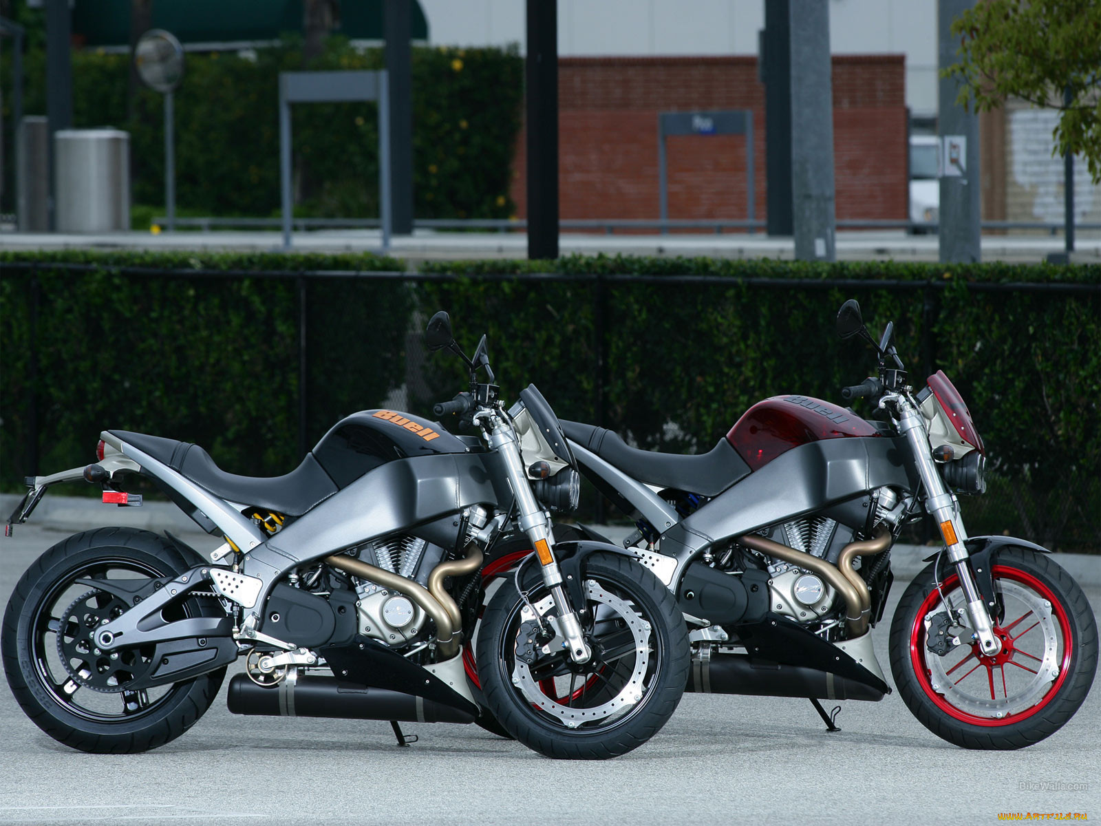 , buell